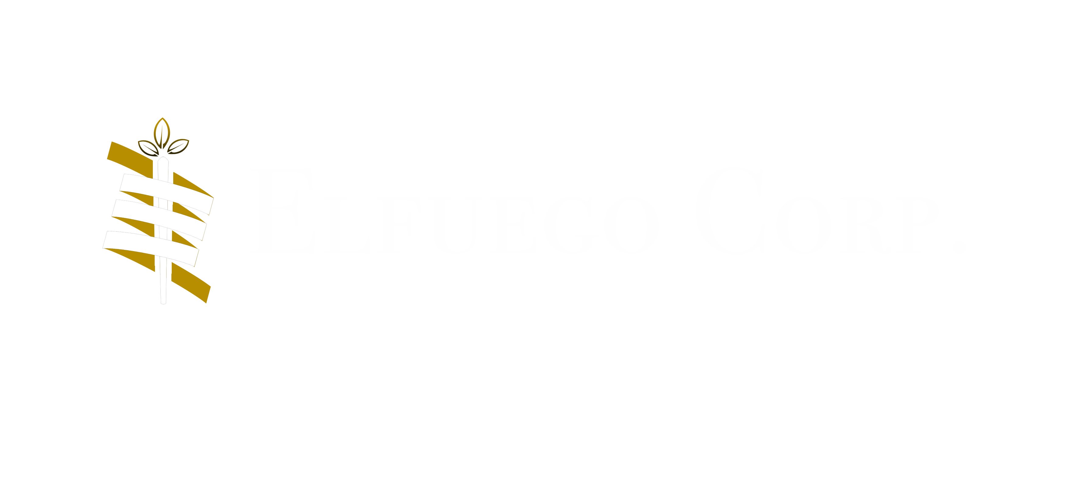 ELFUEGO CORP